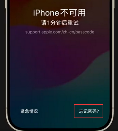 果洛苹果手机密码维修分享iPhone忘记了刚设置的密码 